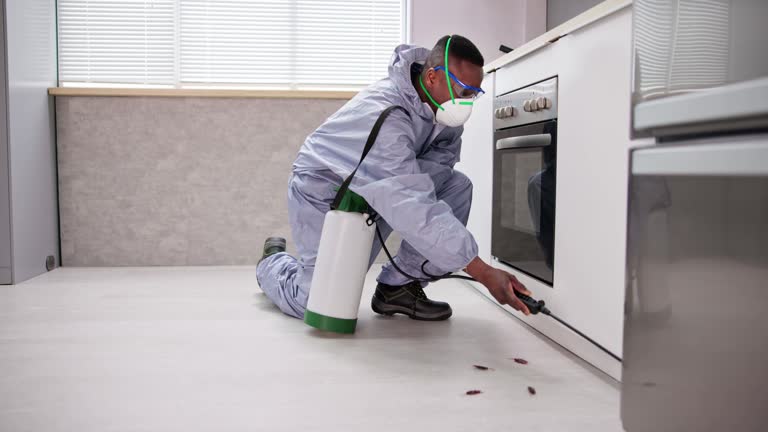 Best Real Estate Pest Inspections  in West Haven, CT